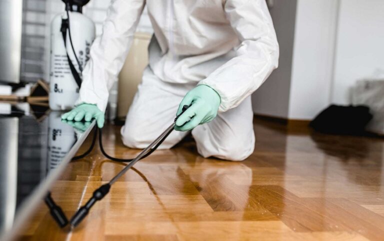 Ask these 5 queries to your pest management company while hiring them